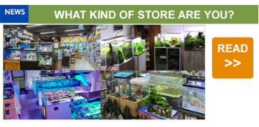 What Kind of Store Are You?